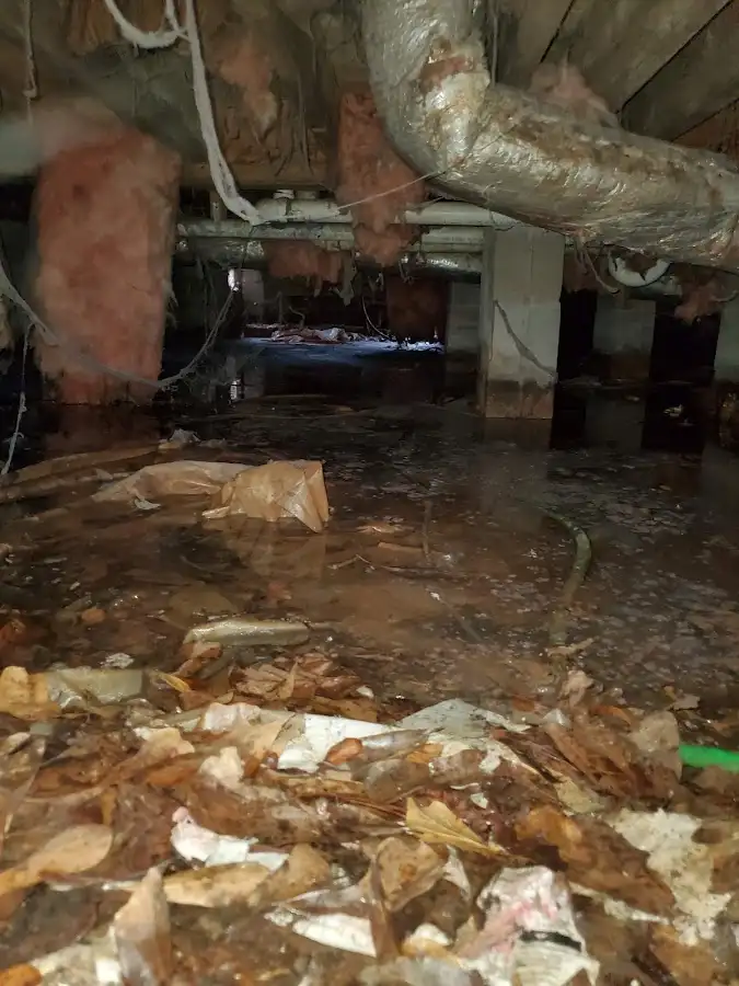 Crawl space flood assessment for Leak Detection & Repair in Englewood